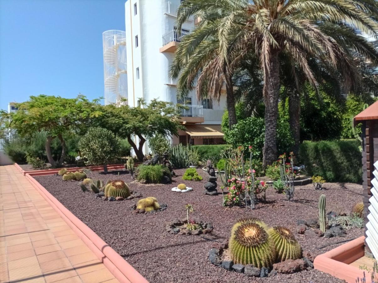 Lightbooking Tenesor 115 Playa Del Ingles Экстерьер фото